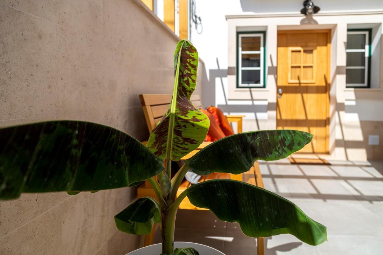 Guest house Farol *